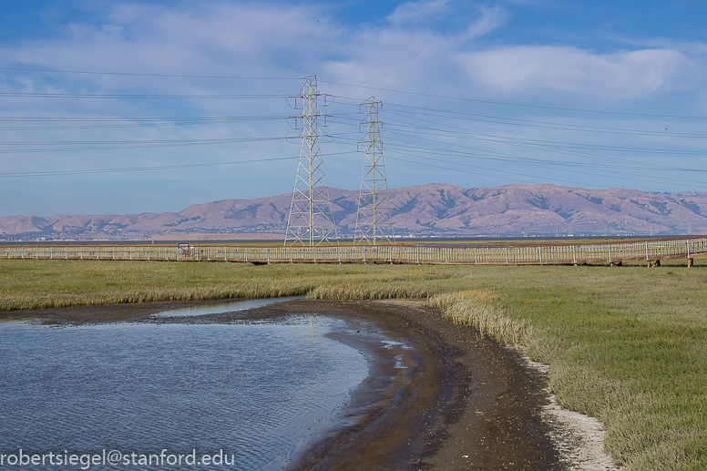 baylands